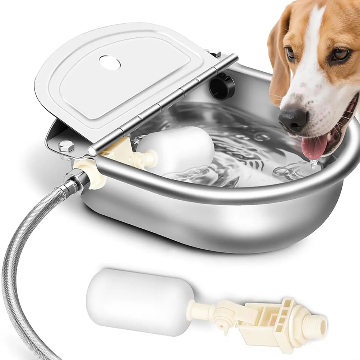 Stainless Steel Pet Water Bowl with Float Valve